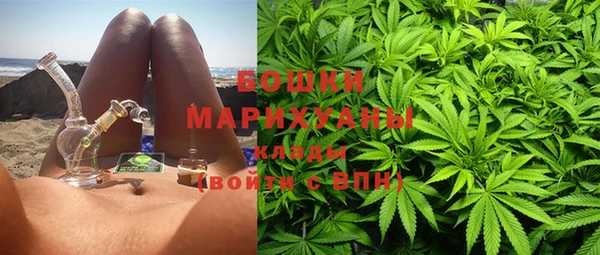дурь Алзамай