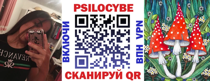 Галлюциногенные грибы Psilocybe  Нолинск 